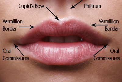 mouth