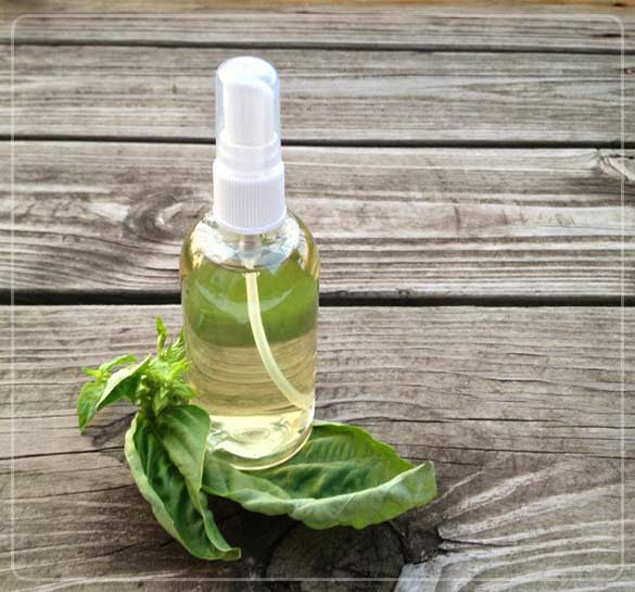 basil-leaves-toner