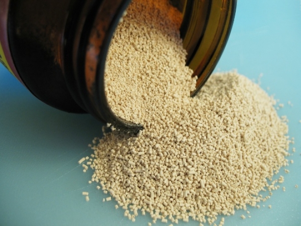 yeast