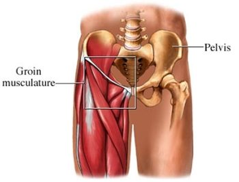 botox on groin